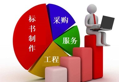 專業(yè)標(biāo)書制作與采購代理服務(wù) 成都企業(yè)的得力助手